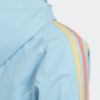Picture of WINDBREAKER