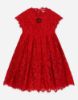 Picture of Cordonette lace dress with embroidered jewel
