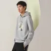 Picture of Hooded sweater